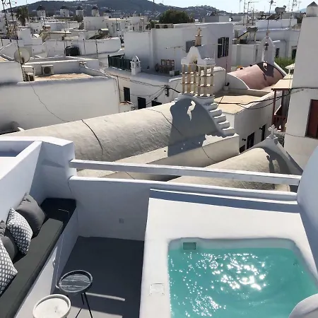 Roofs Of Chora Villa *